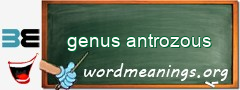 WordMeaning blackboard for genus antrozous
